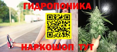герыч Можга