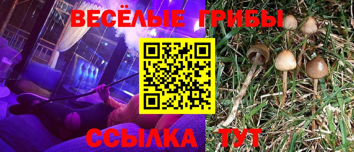 Галлюциногенные грибы Cubensis Верхняя Салда