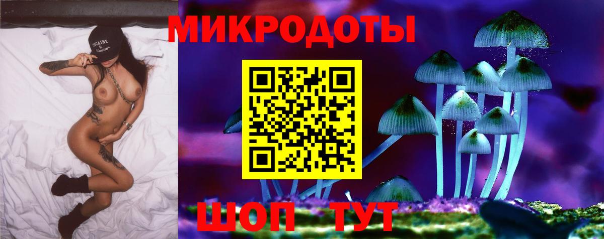 Галлюциногенные грибы Psilocybine cubensis  Вход с VPN  Псилоцибиновые грибы GOLDEN TEACHER  Верхняя Салда 